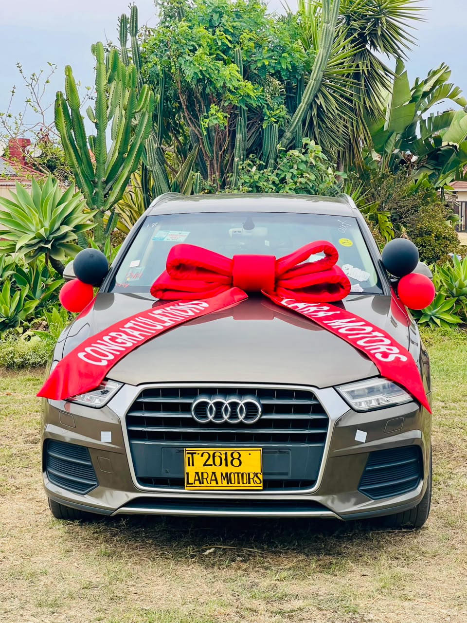 Grey Audi Q3 with a red Lara Motors congratulations ribbon on a garden lawn